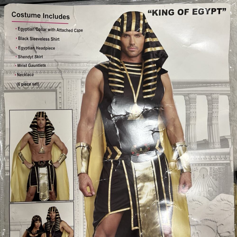 Dreamguy King of Egypt Mens XL Pharaoh Costume 9893 5 Piece Black Gold Cape